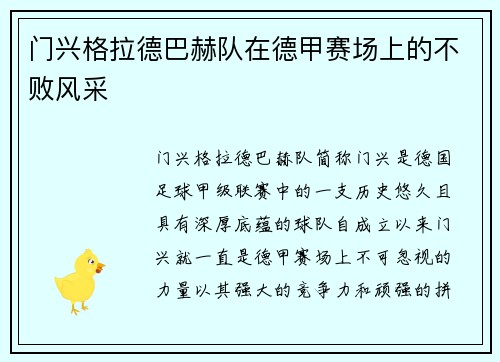 门兴格拉德巴赫队在德甲赛场上的不败风采