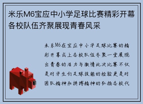 米乐M6宝应中小学足球比赛精彩开幕各校队伍齐聚展现青春风采
